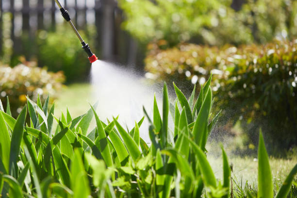 Tamper-Resistant Bait Stations for Rodents in South Amboy