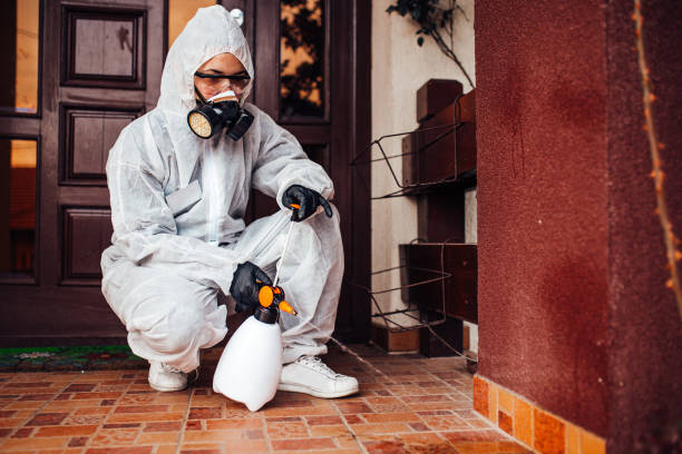 Attic and Crawl Space Rodent Treatment in South Amboy